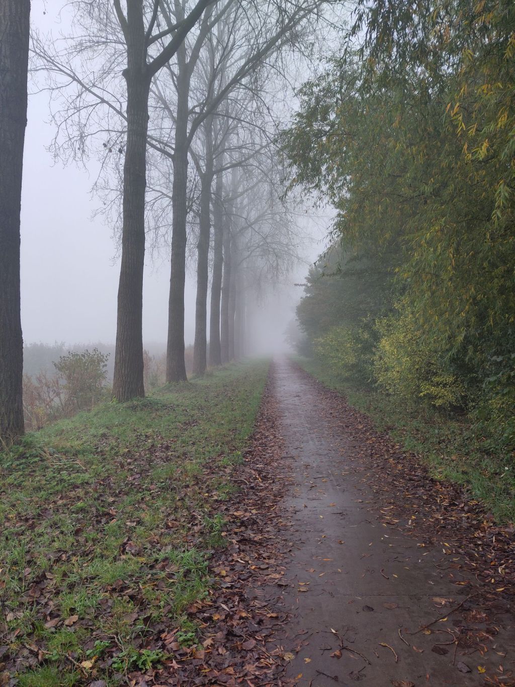 img_20241023_1017141260206910872075934