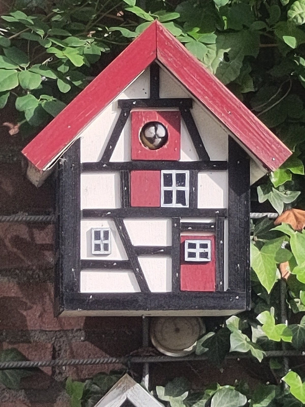 Vogels luisteren met&nbsp;Merlin